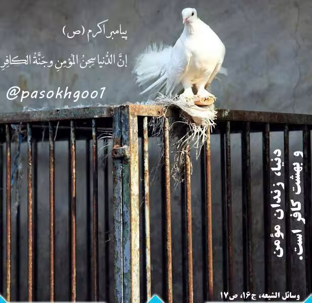 حدیث دنیا