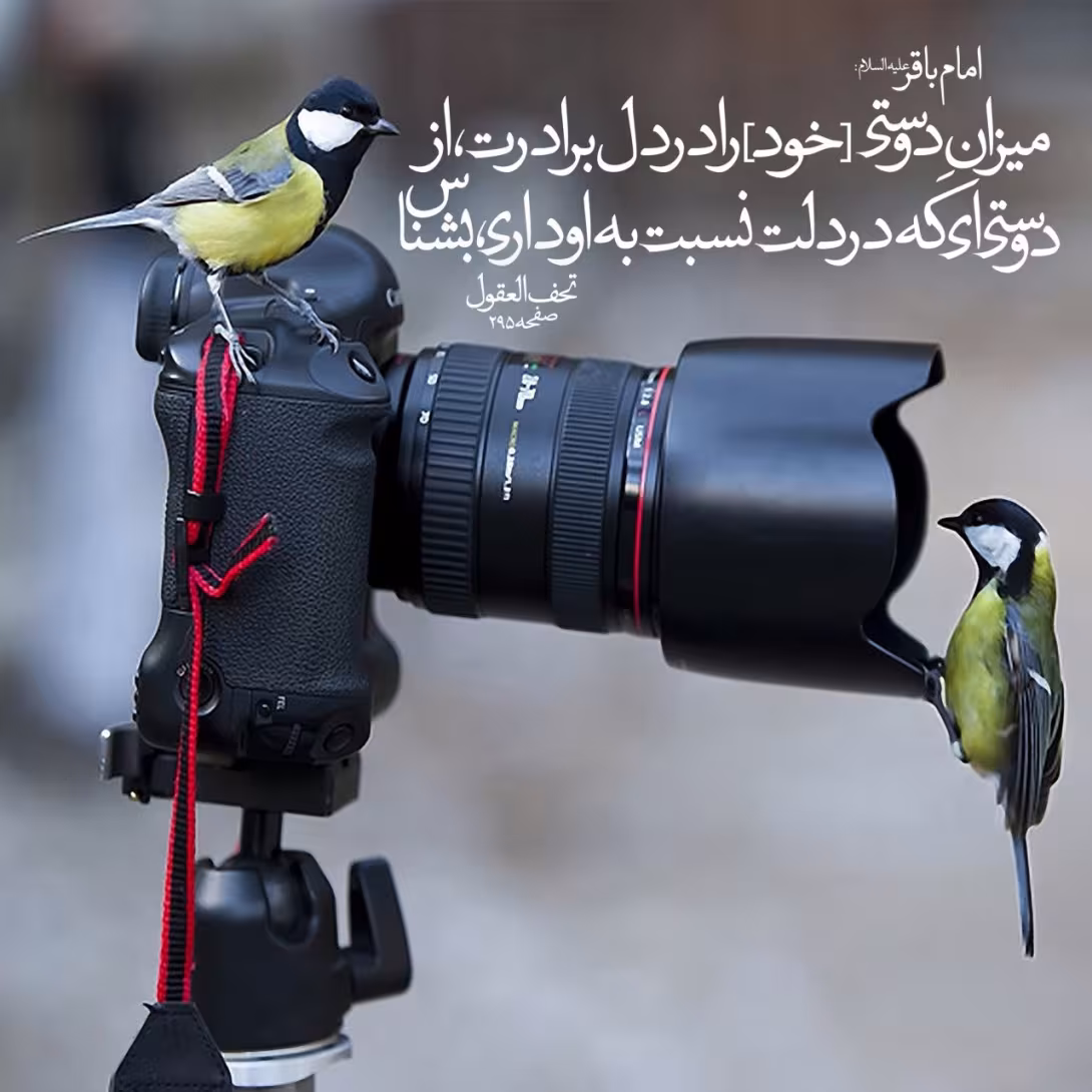 حدیث شناخت میزان دوستی