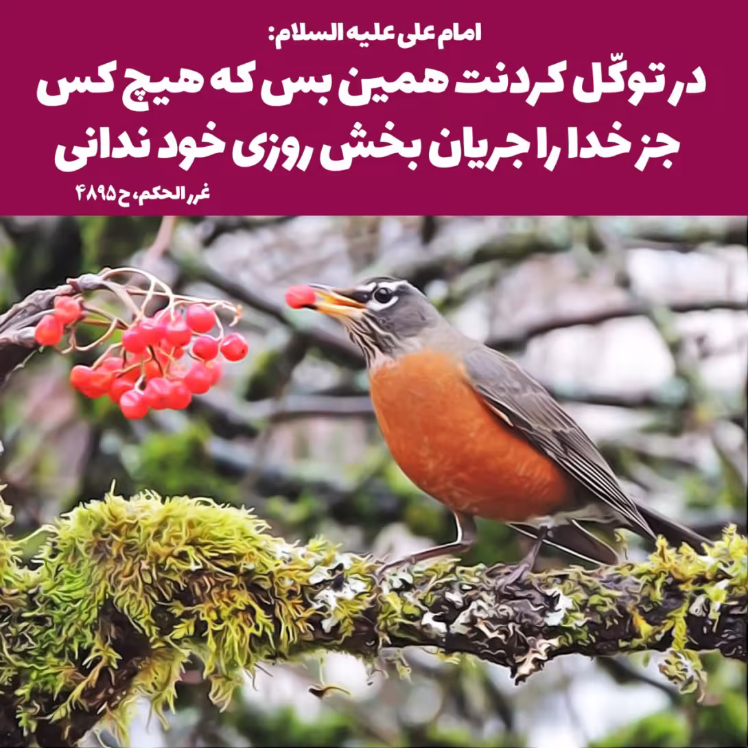 حدیث توکل بر خدا