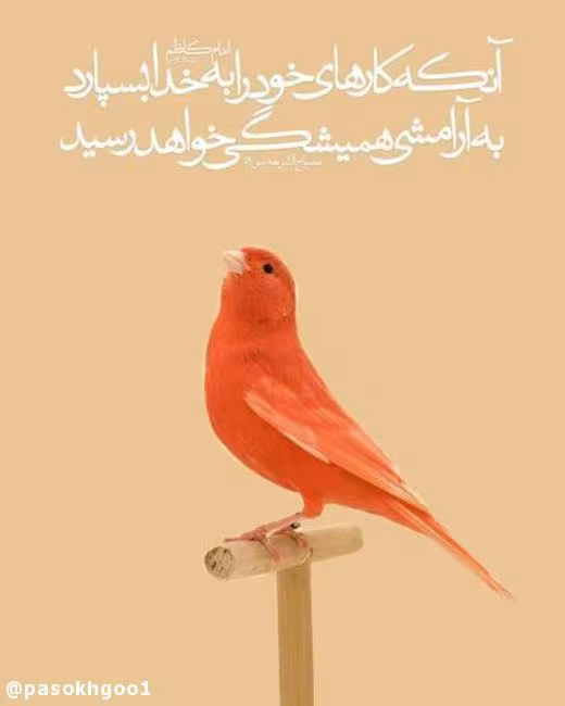 حدیث توکل بر خدا