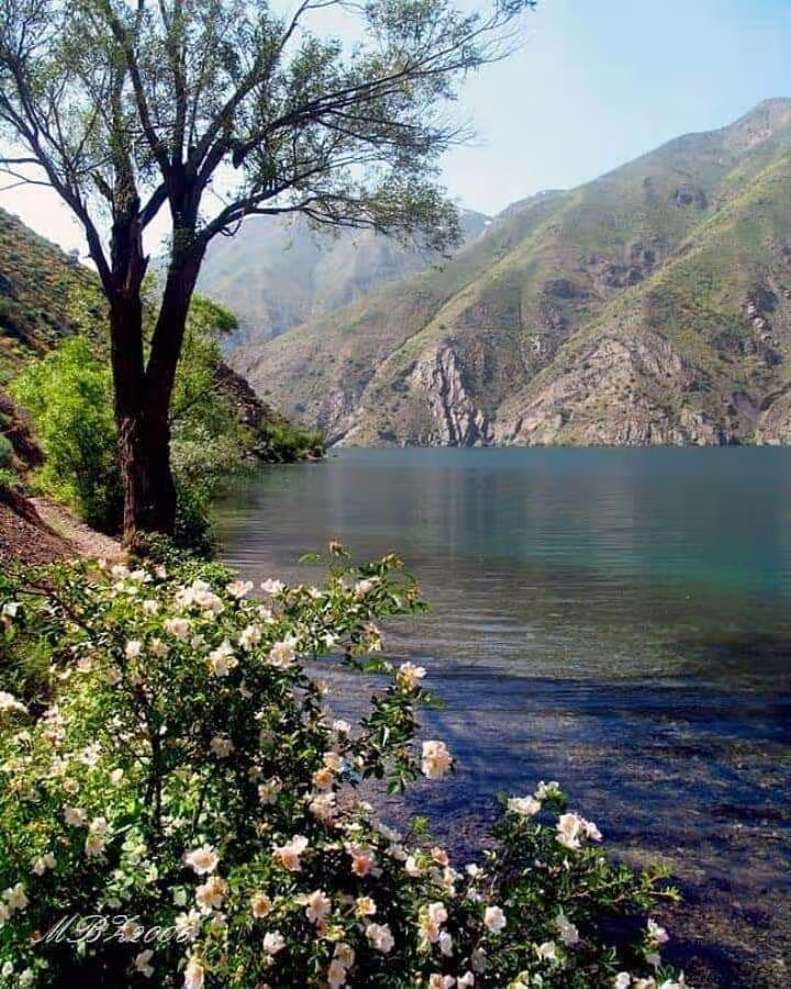 حدیث ضمانت بهشت