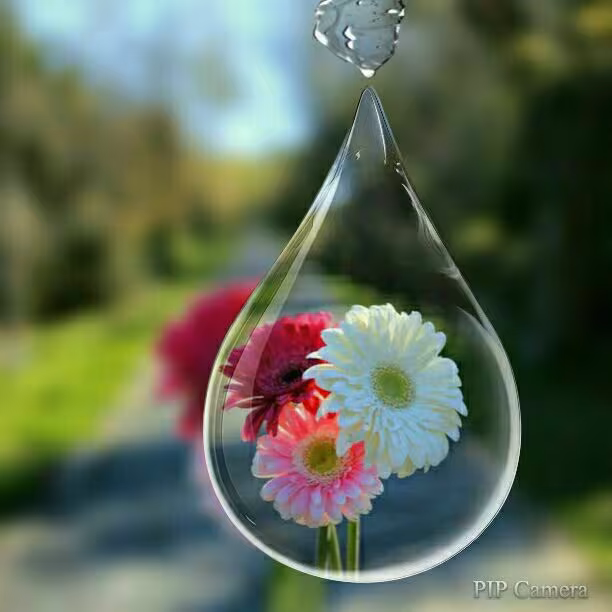 حدیث دل بستن به دنیا
