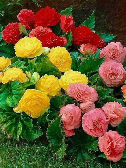 حدیث در پی روزی بودن