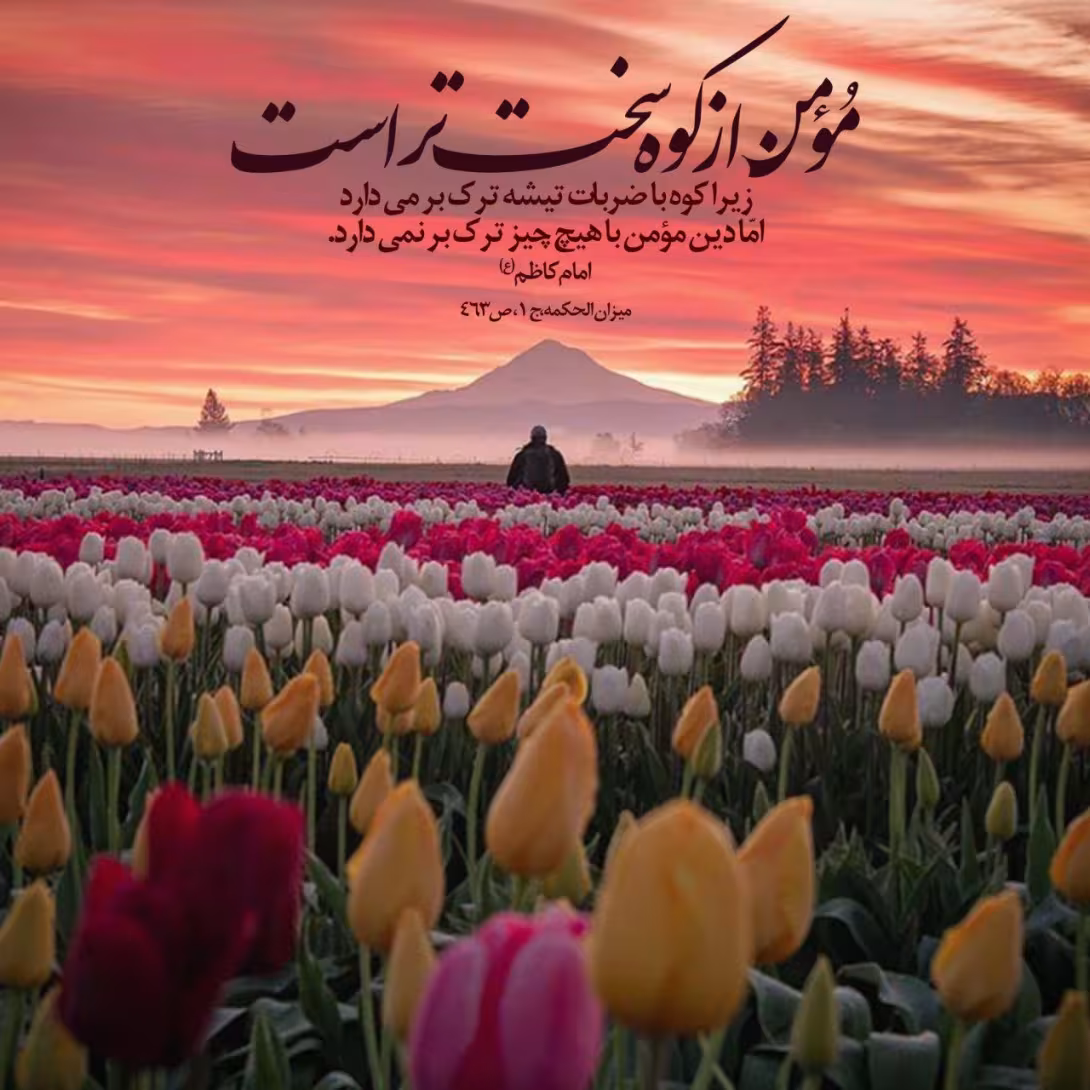 حدیث مومن واقعی