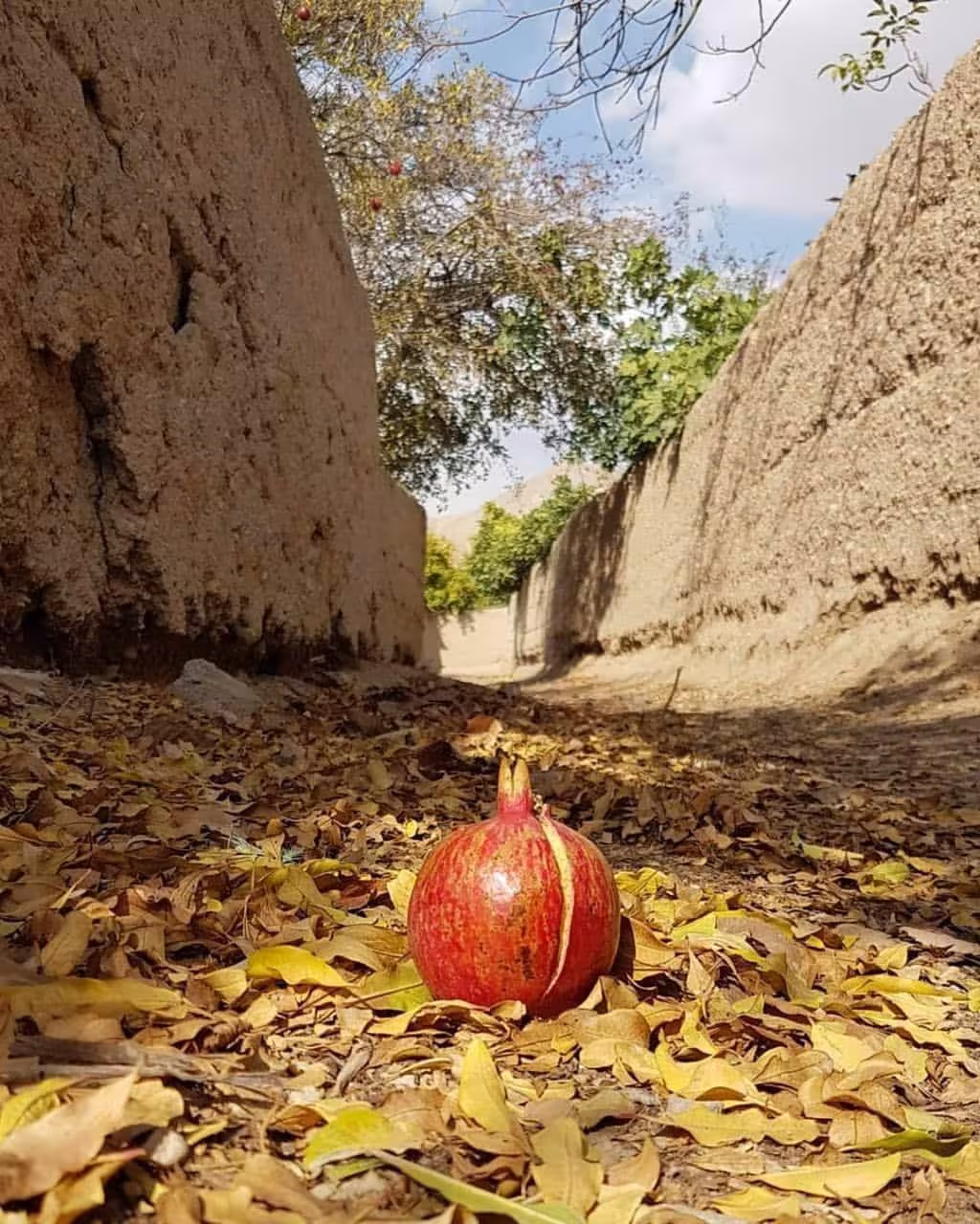 حدیث مسافران در کشتی