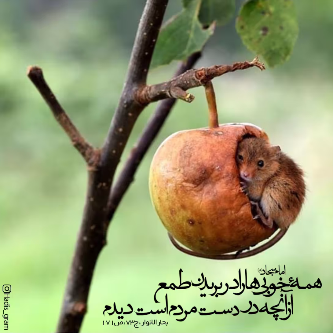 حدیث بریدن طمع