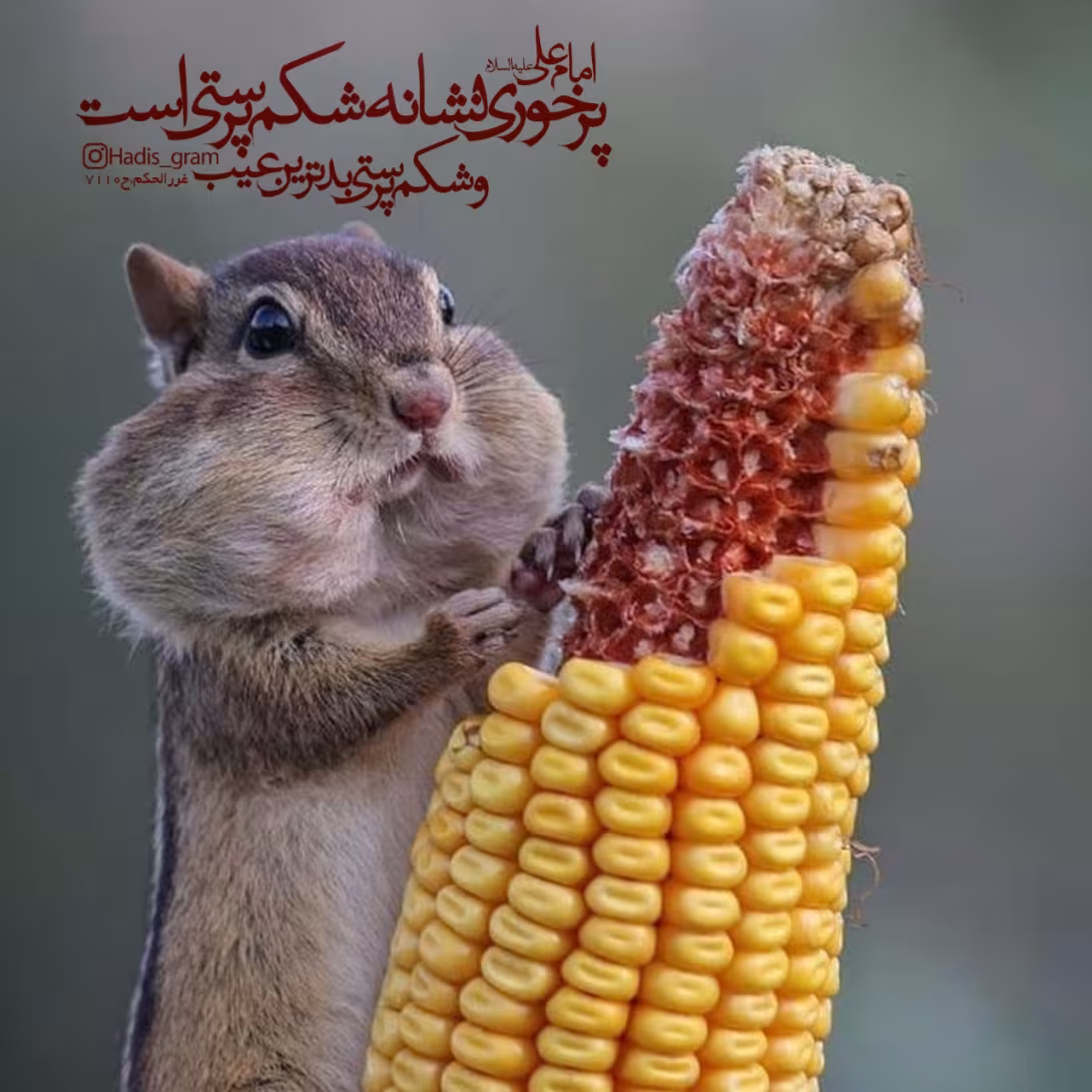 حدیث پرخوری