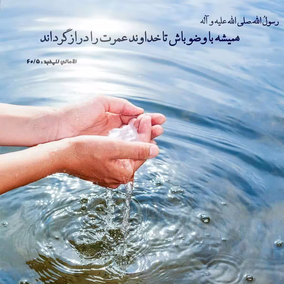حدیث ثواب وضوع قبل از خواب