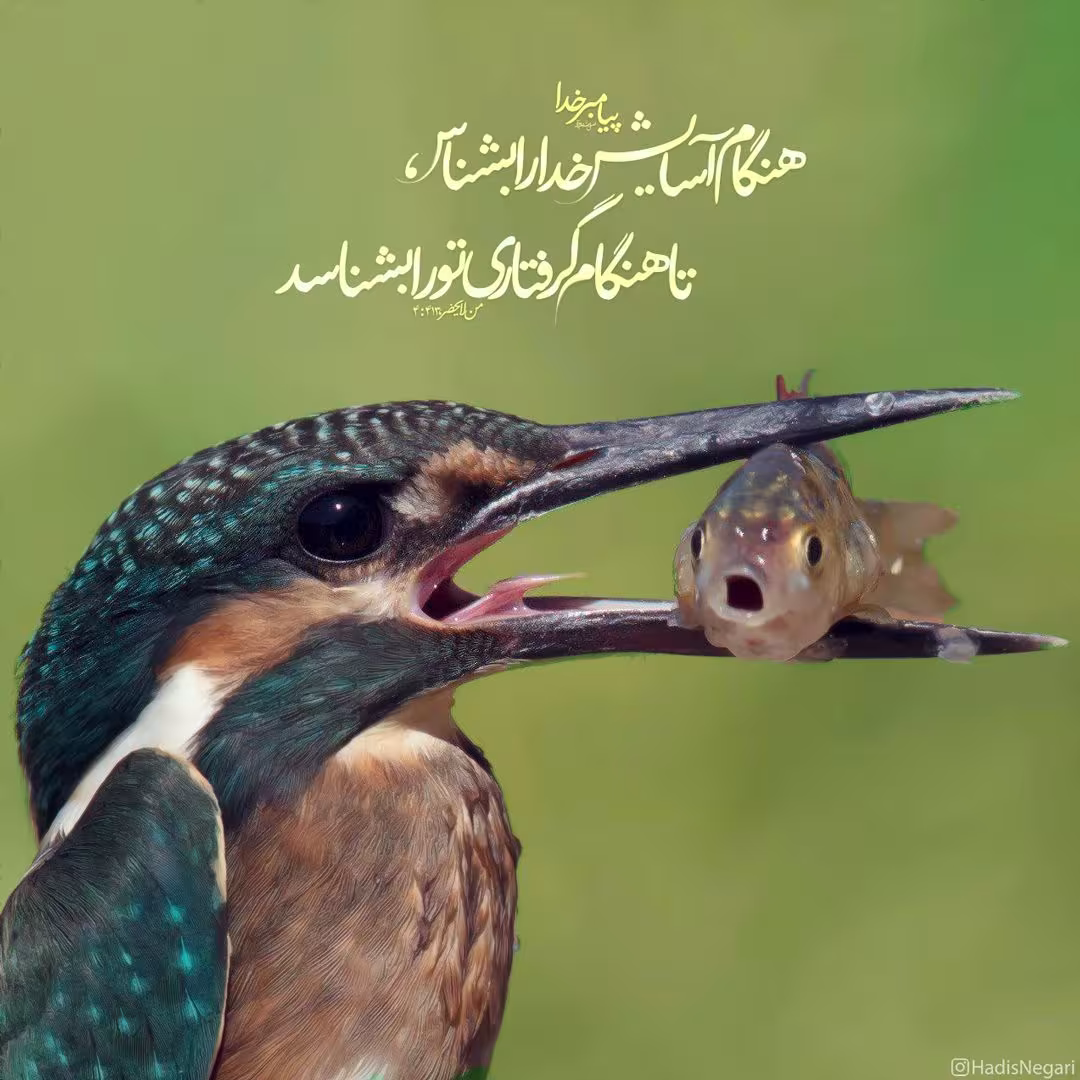 حدیث شناخت خدا