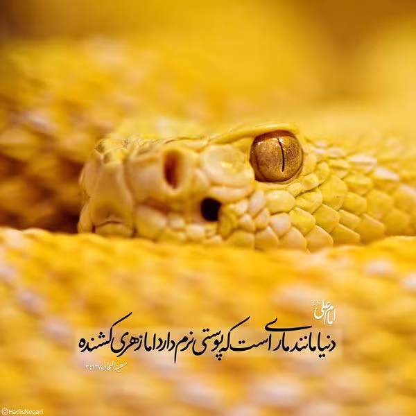 حدیث دنیا