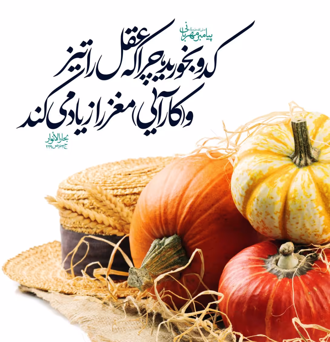 حدیث فایده کدو
