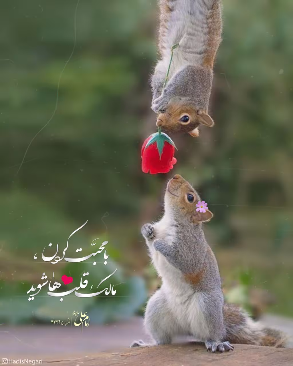 حدیث محبت