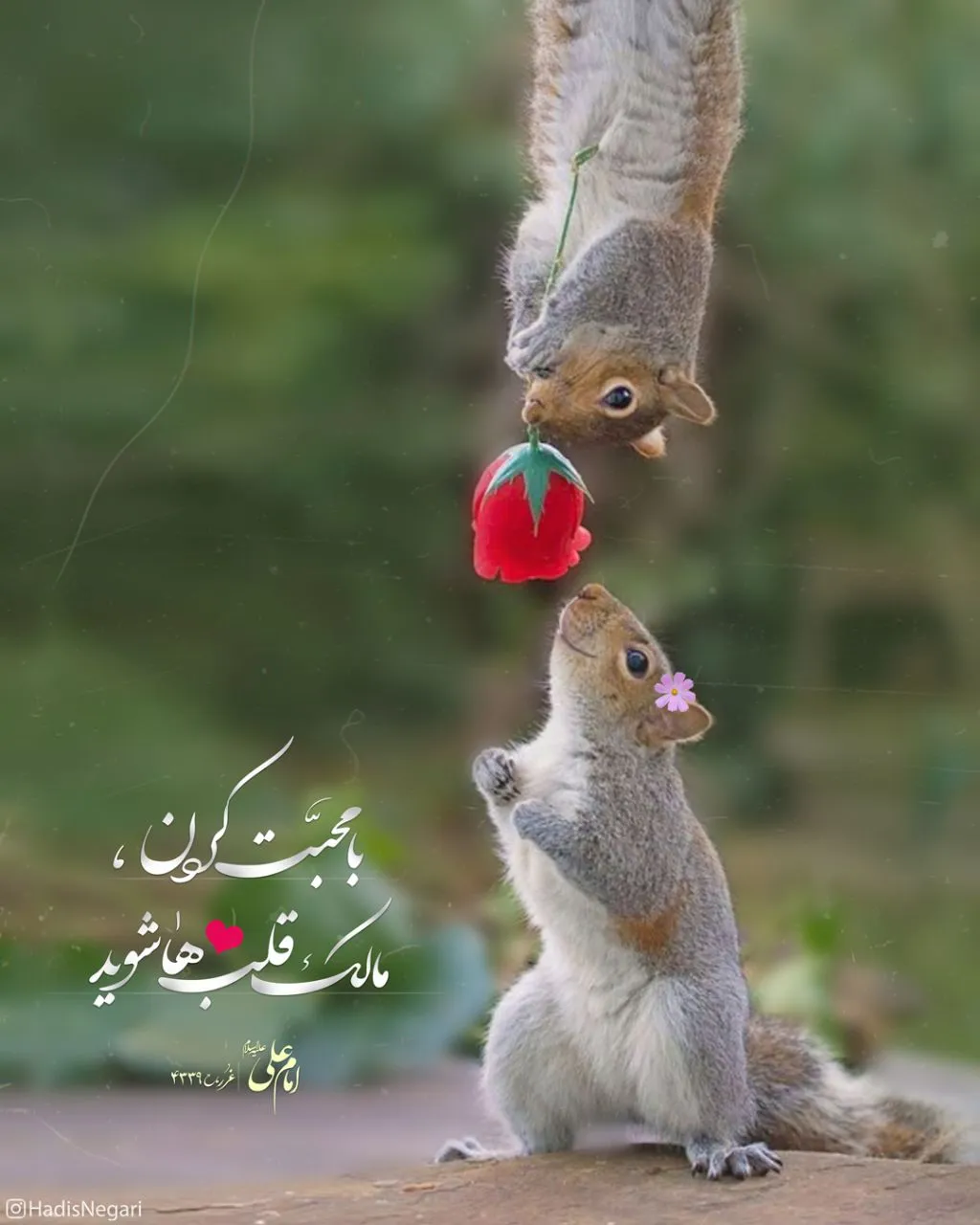 حدیث محبت
