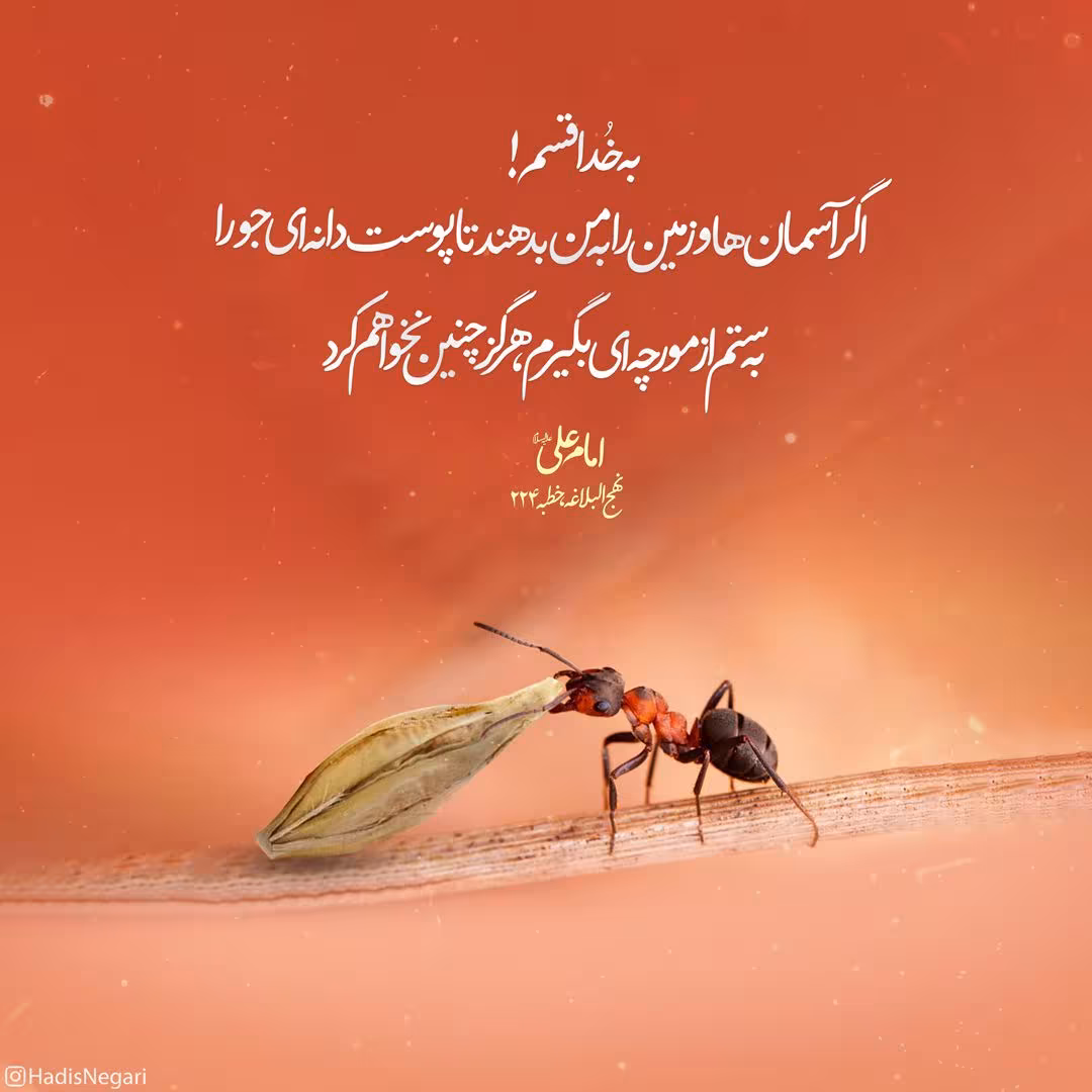 حدیث ستم