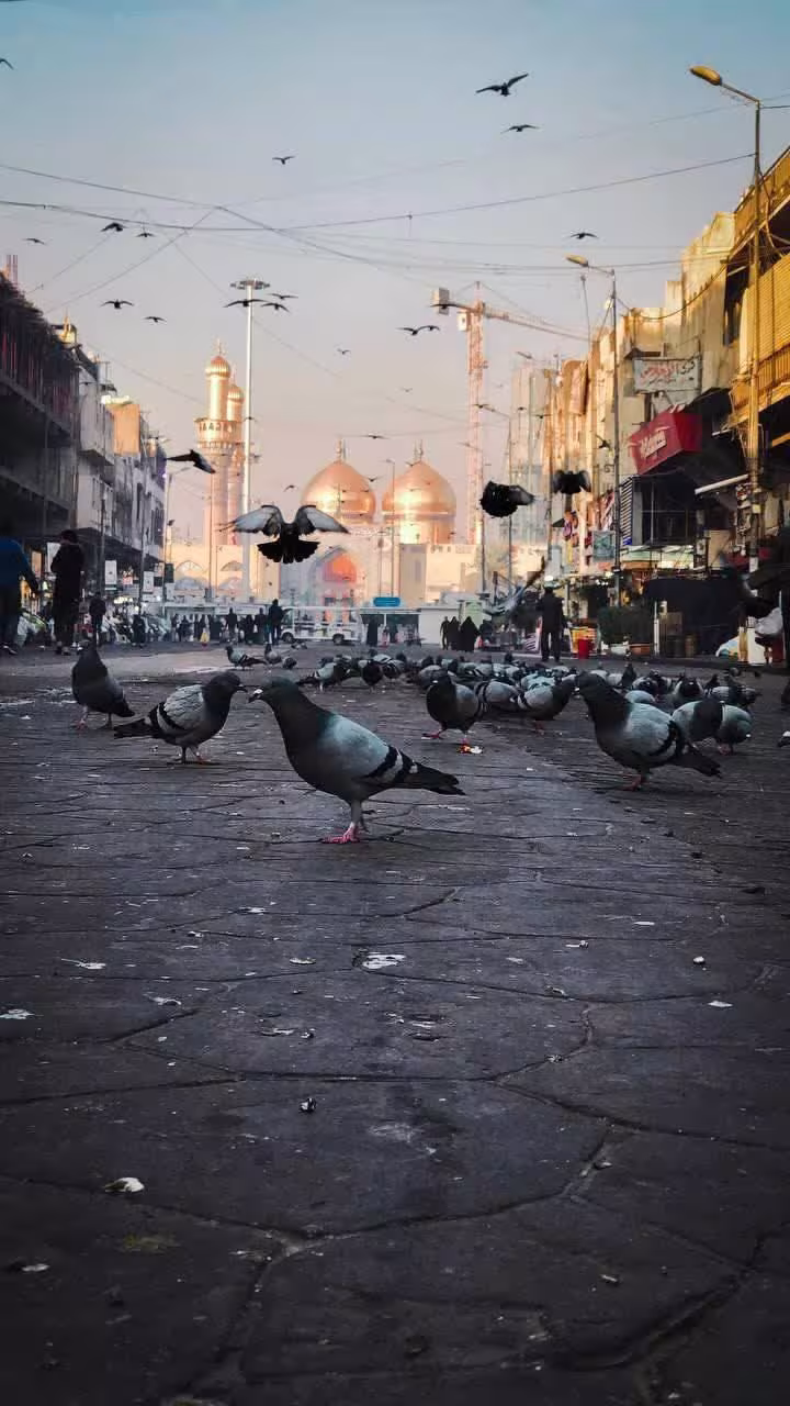 شهادت حضرت امام محمد تقی علیه السلام