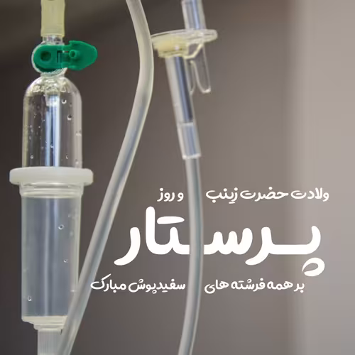ولادت حضرت زینب سلام الله علیها و روز پرستار