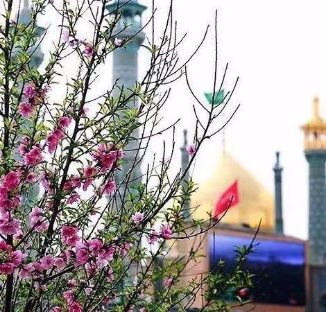 ولادت حضرت فاطمه معصومه و روز دختر