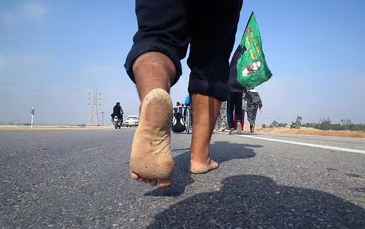 ضیاالصالحین