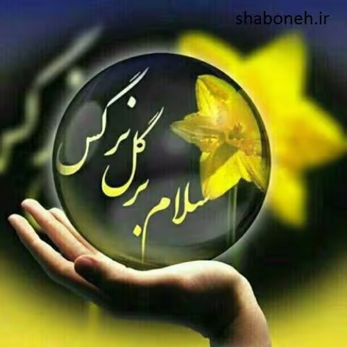 عکس پروفایل میلاد امام زمان عجل الله تعالی فرجه الشریف