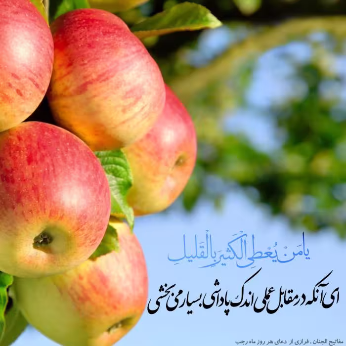 ماه رجب