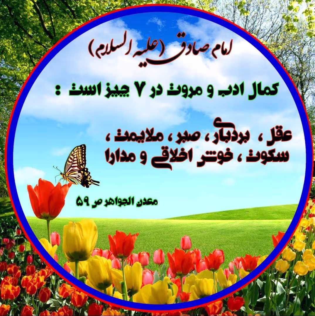 جایگاه و ارزش صبر + مجموع آواتار | ضیاءالصالحین