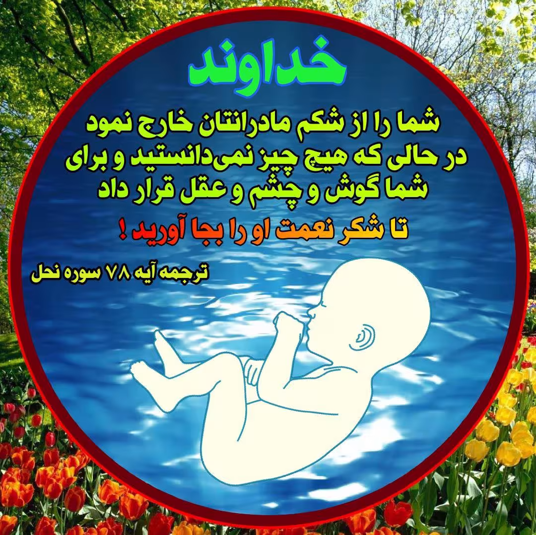 شكرگزاری و فواید آن + آواتار | ضیاءالصالحین