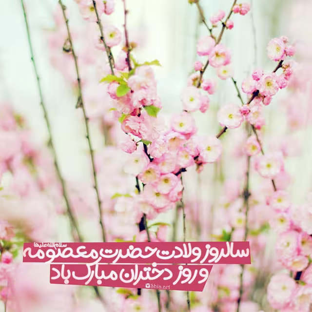 ولادت حضرت فاطمه معصومه و روز دختر