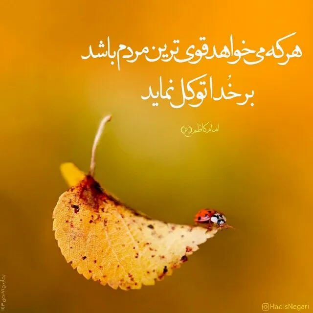 توکل بر خدا