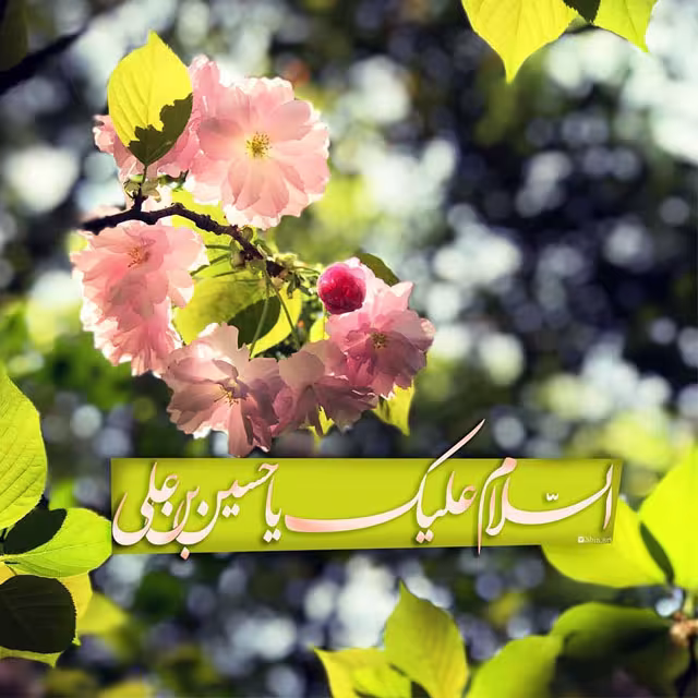 ولادت امام حسین علیه السلام